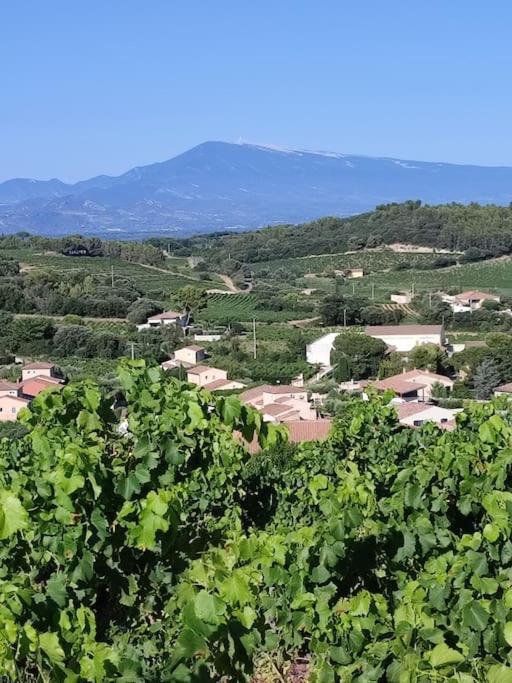 Maison De Village Châteauneuf-du-Pape Exterior foto